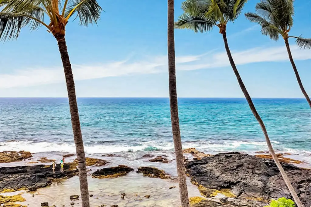 Kona Bali Kai #316