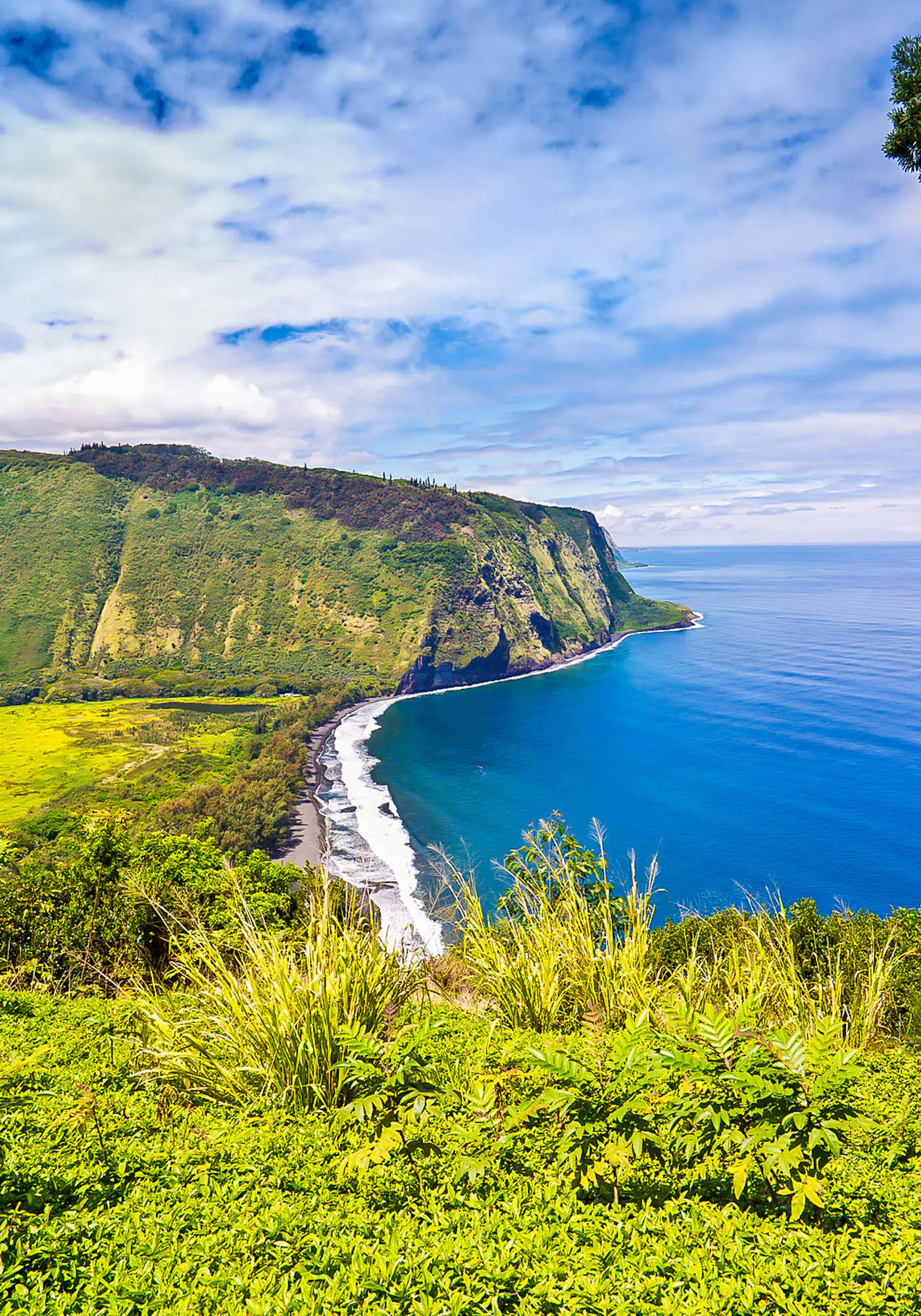 Kona Bali Kai #418