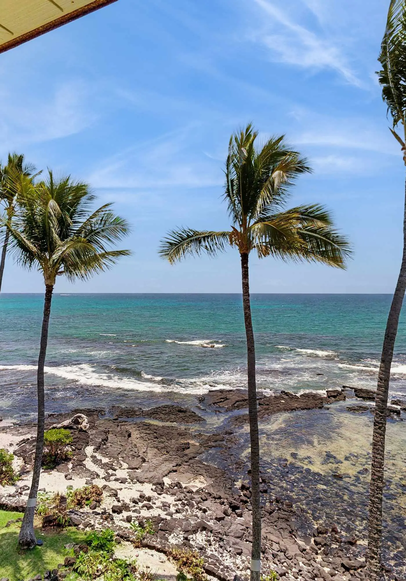 Kona Bali Kai #418