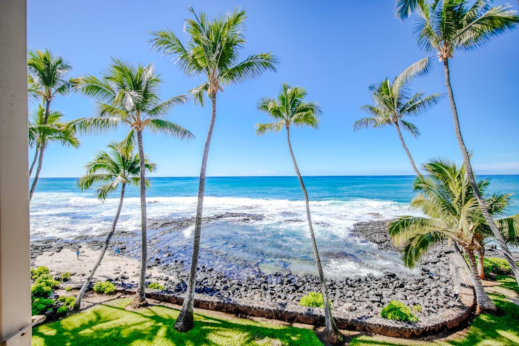 Breezy oceanfront condo with pool & hot tub - near shopping, dining & beaches