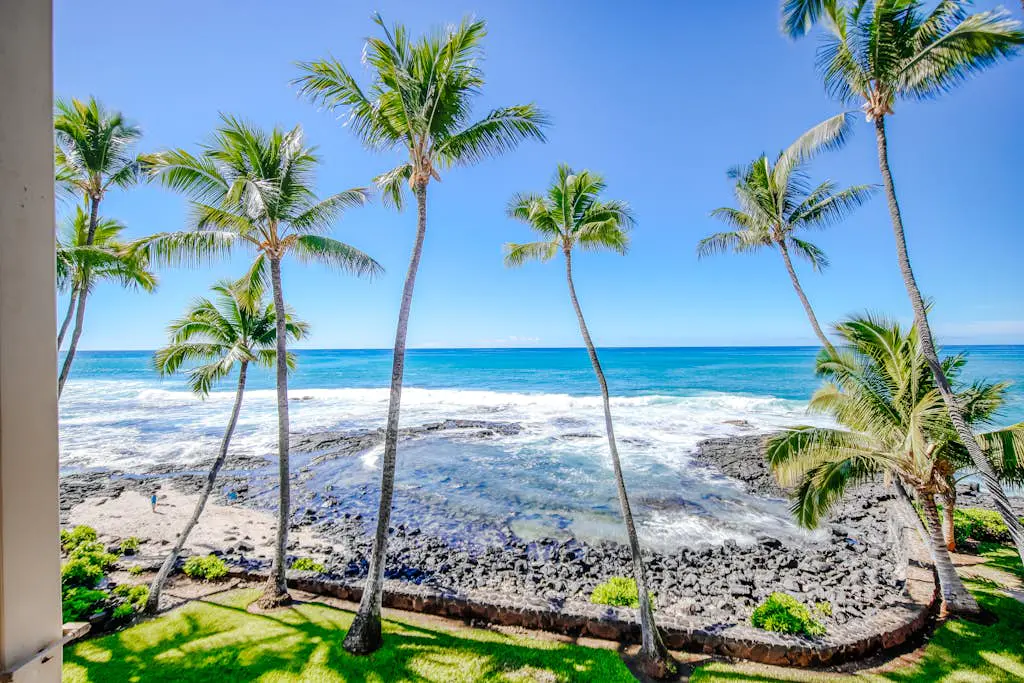 Kona Bali Kai #318
