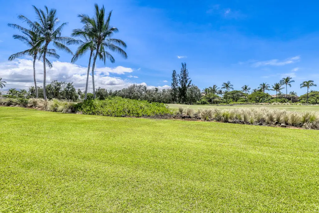 Waikoloa Colony Villas 2401