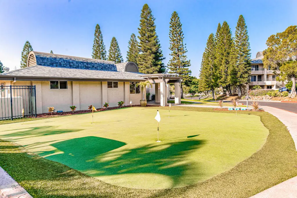 Greens At Waikoloa J101