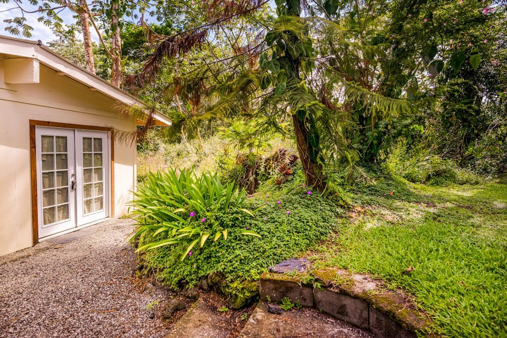 Dog-friendly studio escape near the beach & town with fast WiFi & kitchenette