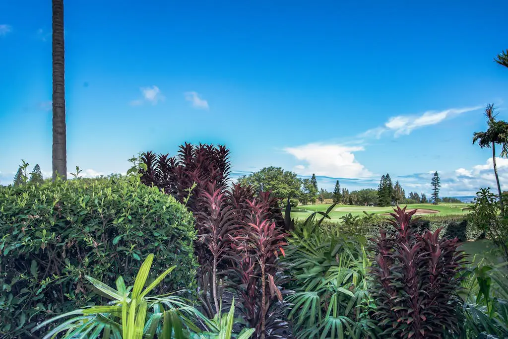 Waikoloa Fairways C120