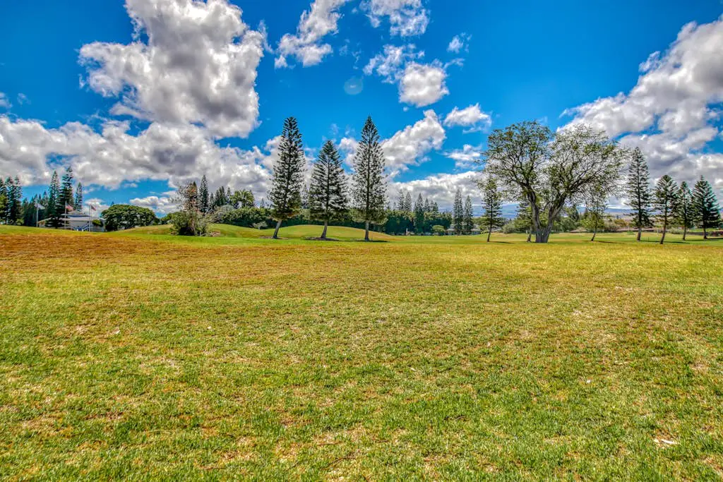 Waikoloa Fairways C120