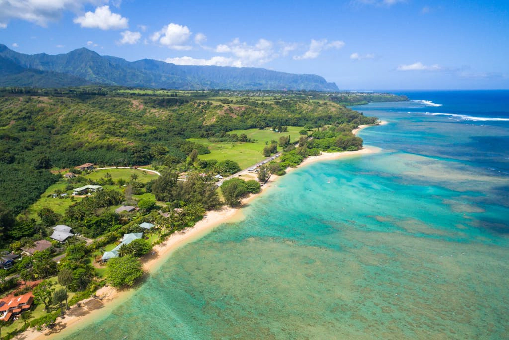 Anini Ohana Estate-includes the Main and Ohana guest house TVNCU# 4255
