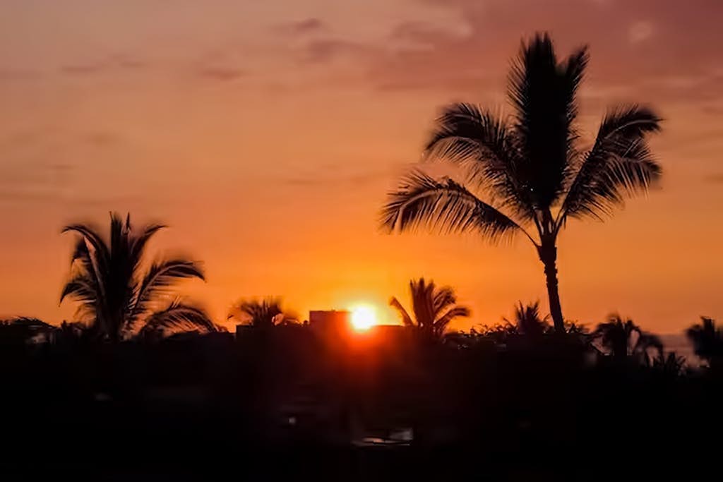 Charming condo w/ golf course view, lanai, gas grill - shared hot tub and pool