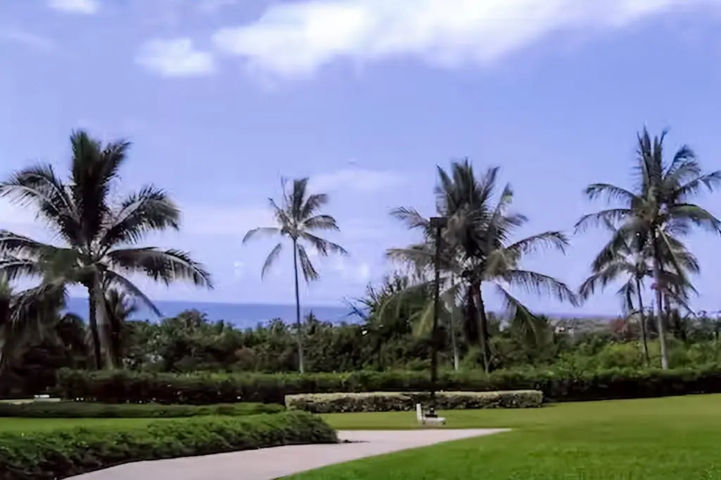 Keauhou Punahele A104