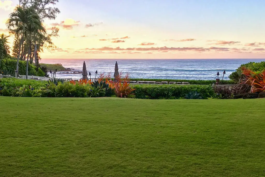 Lanikai #113