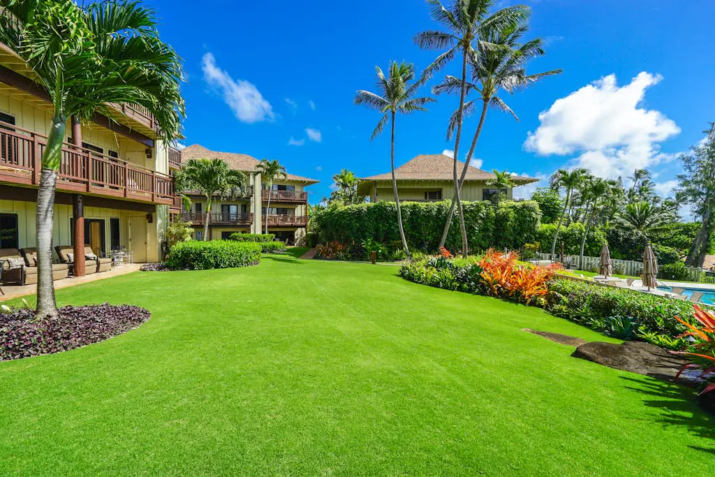 Lanikai #113