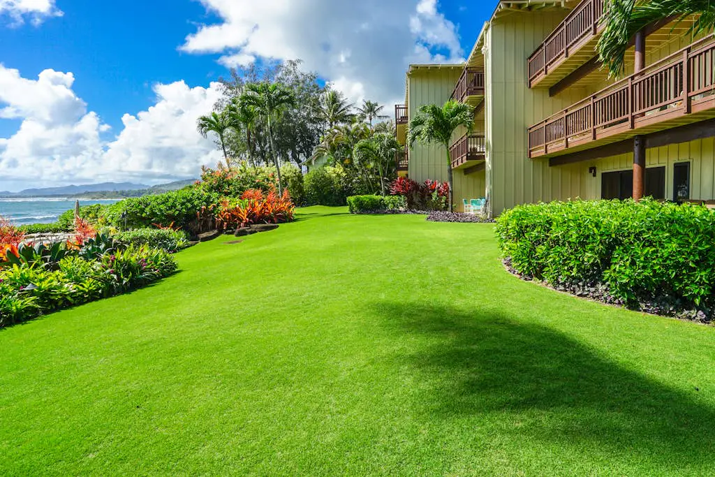 Lanikai #113