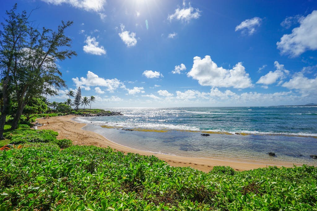 Lanikai #212 | 2 Bed Kapaa, HI Condo | Vacasa