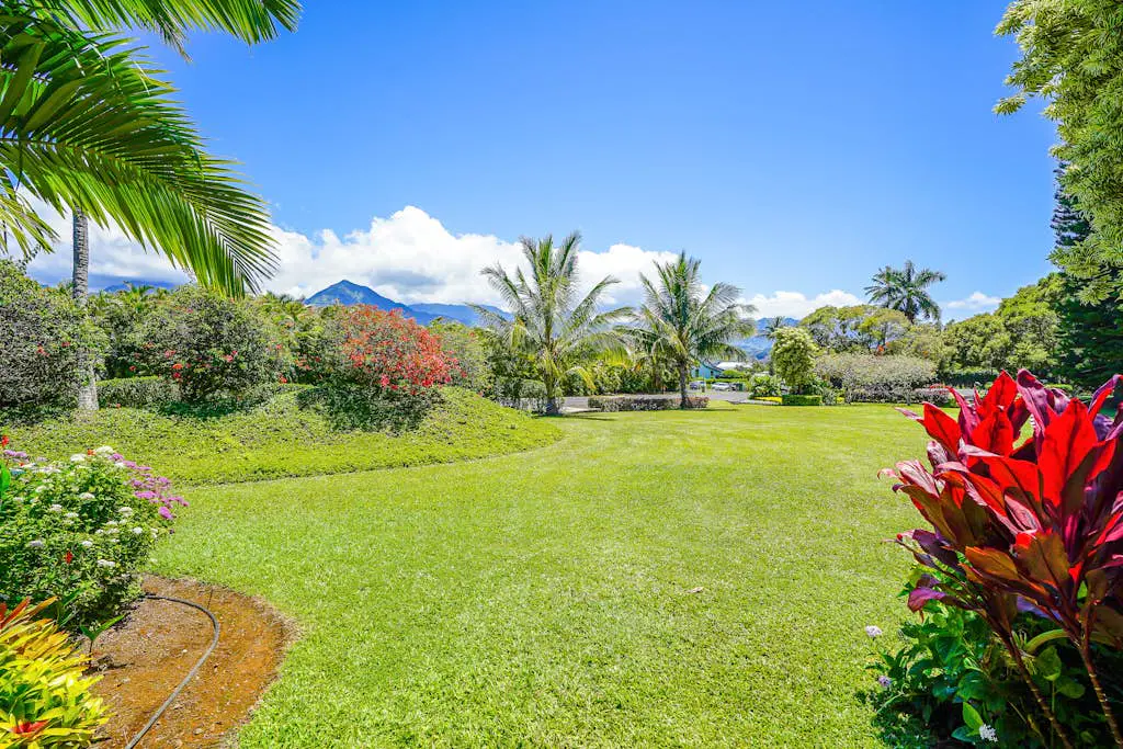 Pali Ke Kua #3