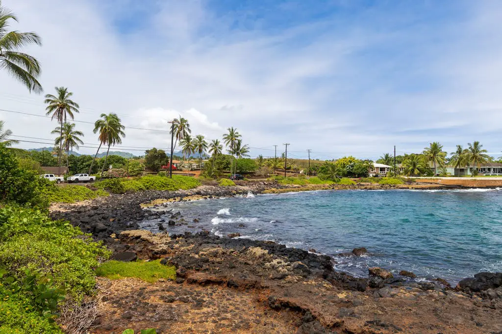 Kuhio Shores 316