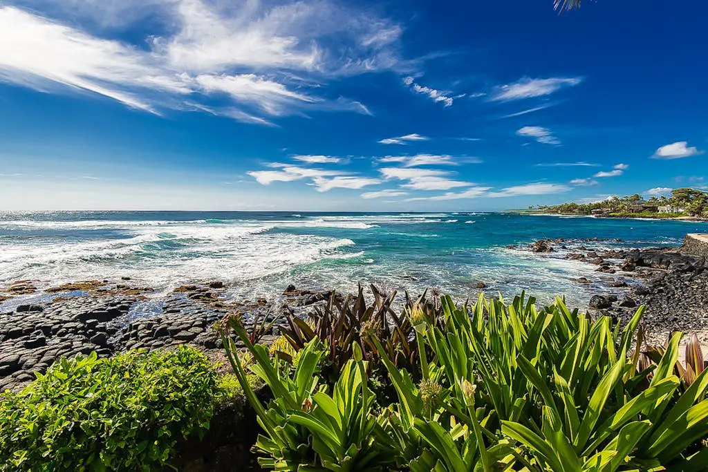 Kuhio Shores 316