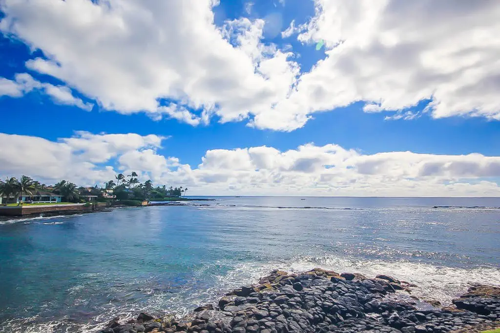 Kuhio Shores 208