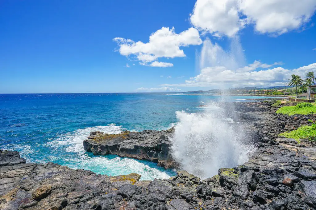 Poipu Shores 101C