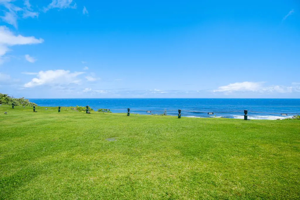 Puu Poa 105