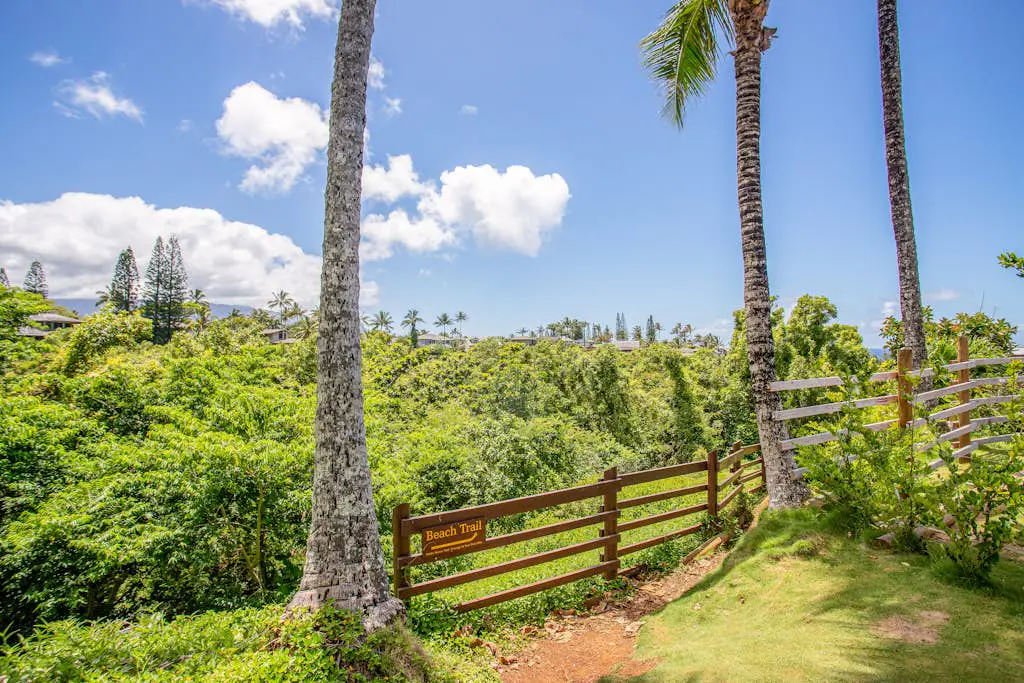 Sealodge at Princeville J3