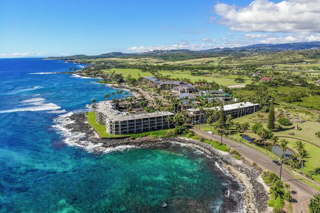 Prince Kuhio 319