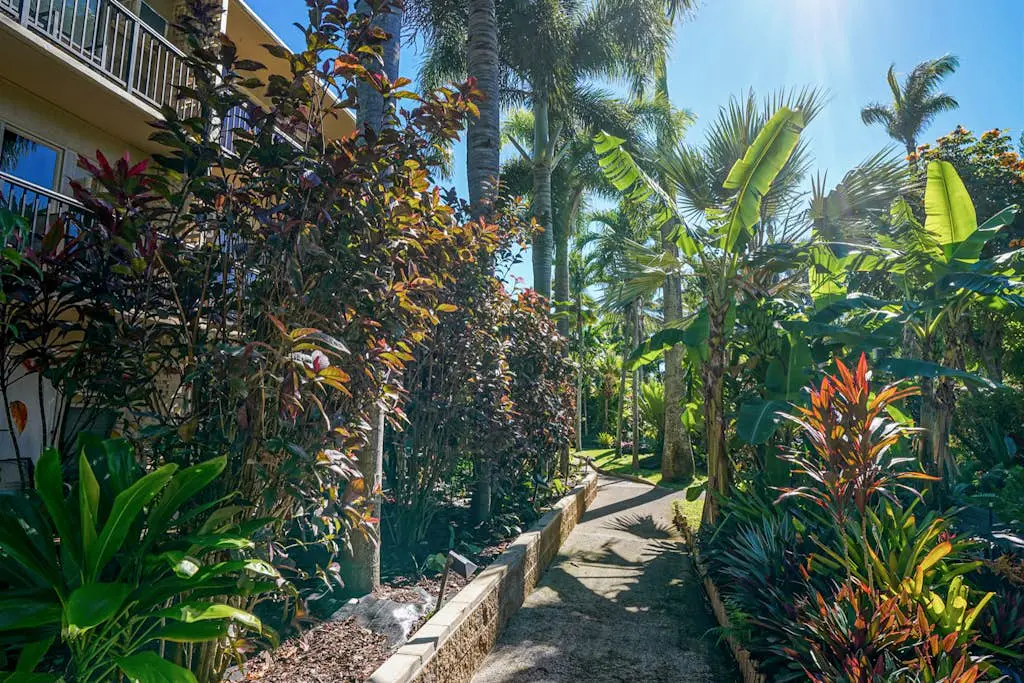 Prince Kuhio 319