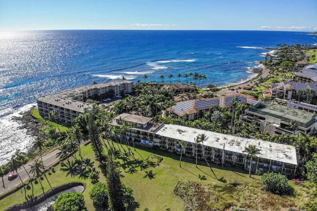Prince Kuhio 319