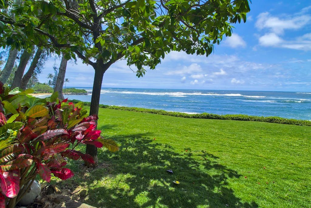 Oceanfront studio with patio, terrific views, full kitchen & outdoor pool
