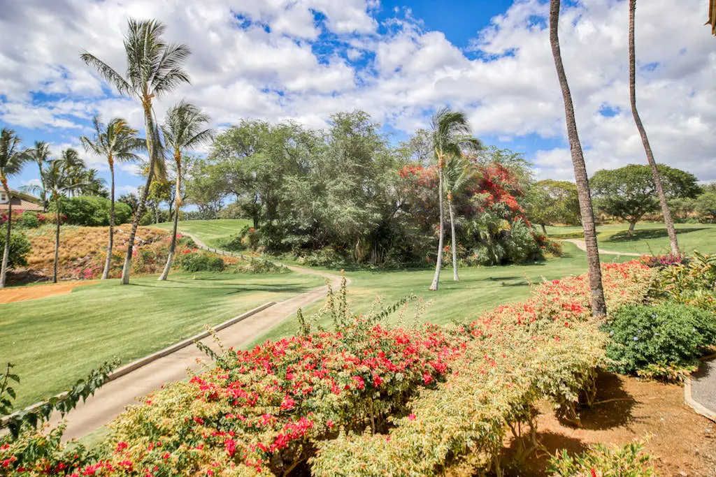 Wailea Grand Champions 87