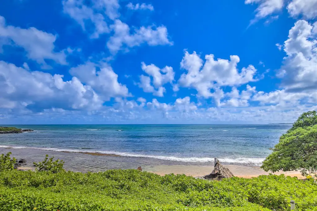 Kapa'a Sands 14