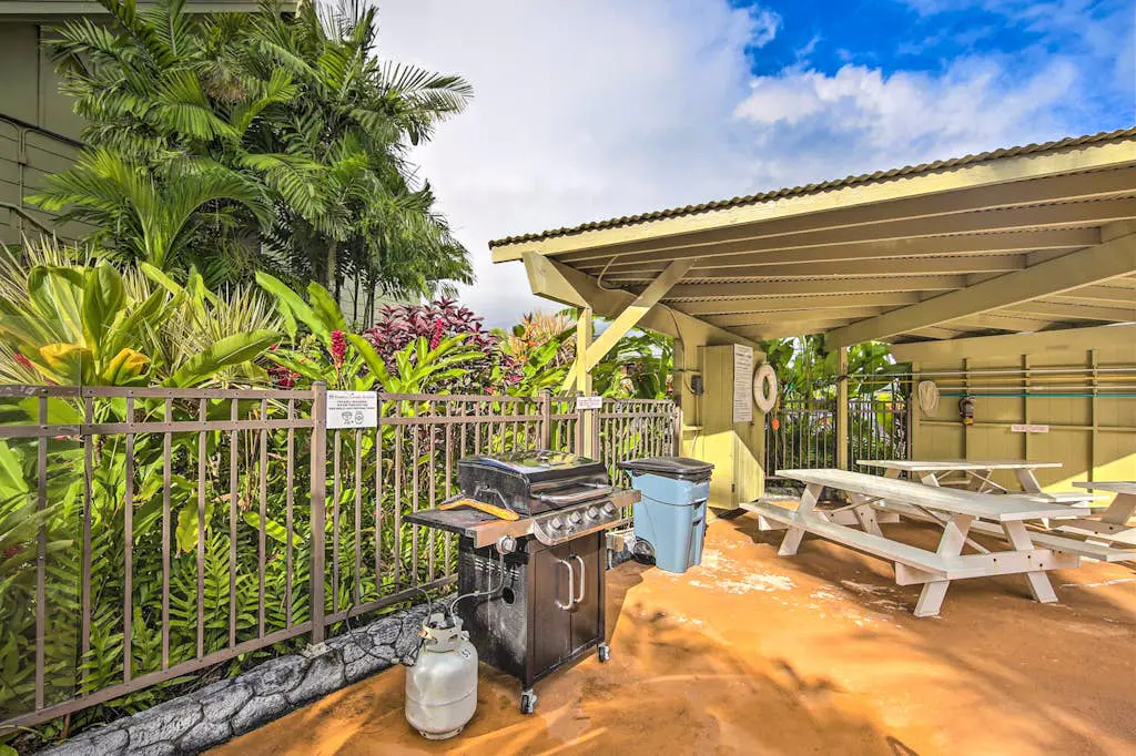 Kapa'a Sands 14