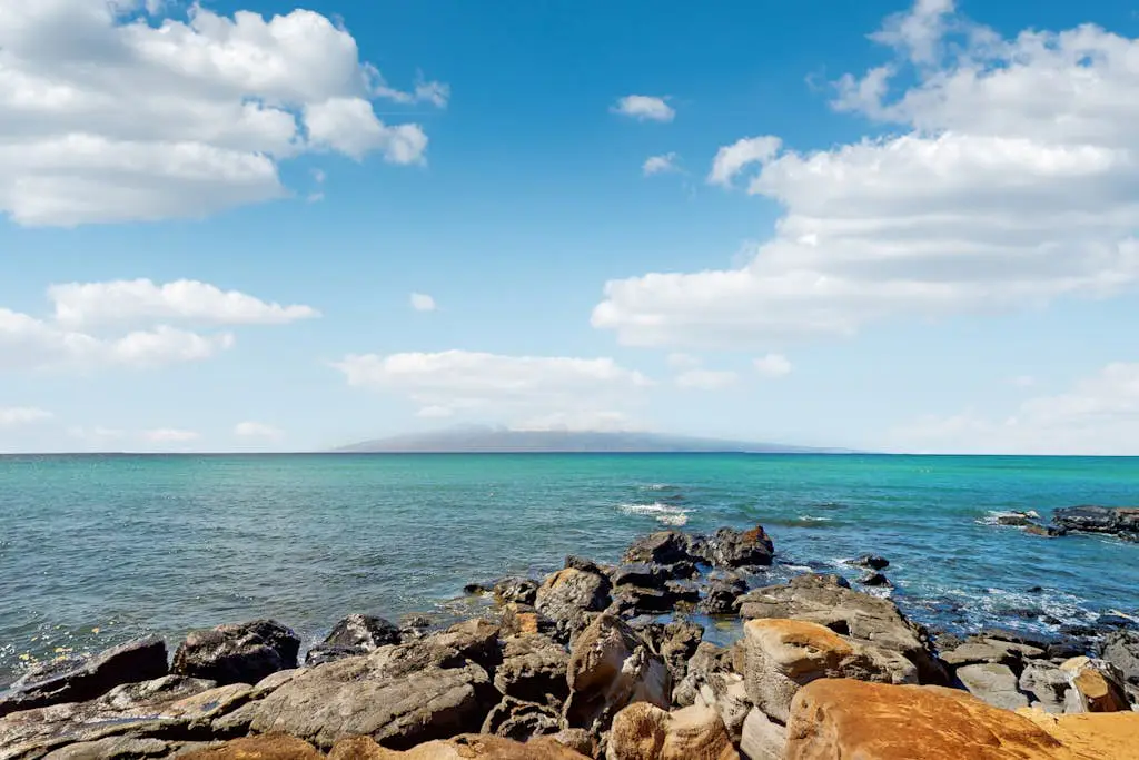 Mahina Surf 201