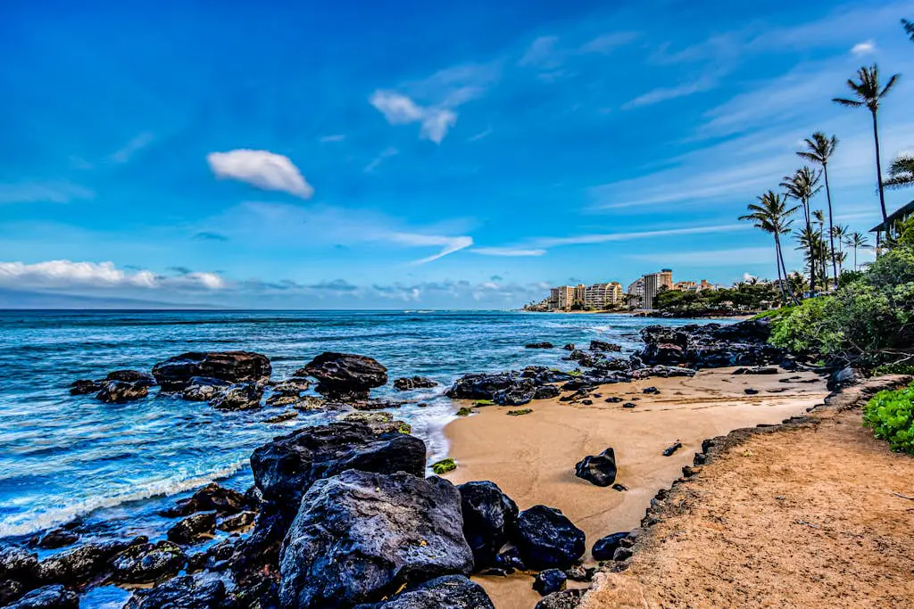 Mahina Surf 201