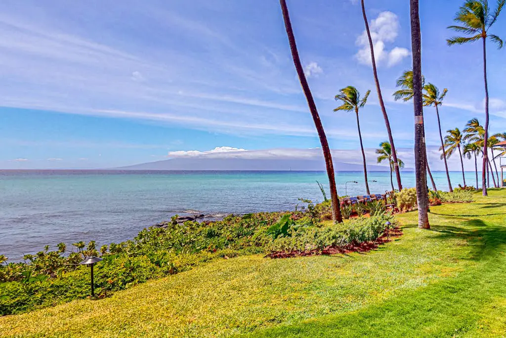 Mahina Surf 201