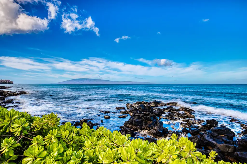 Mahina Surf 201