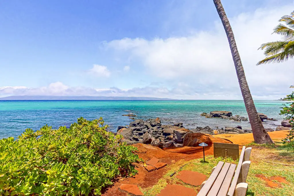 Mahina Surf 201
