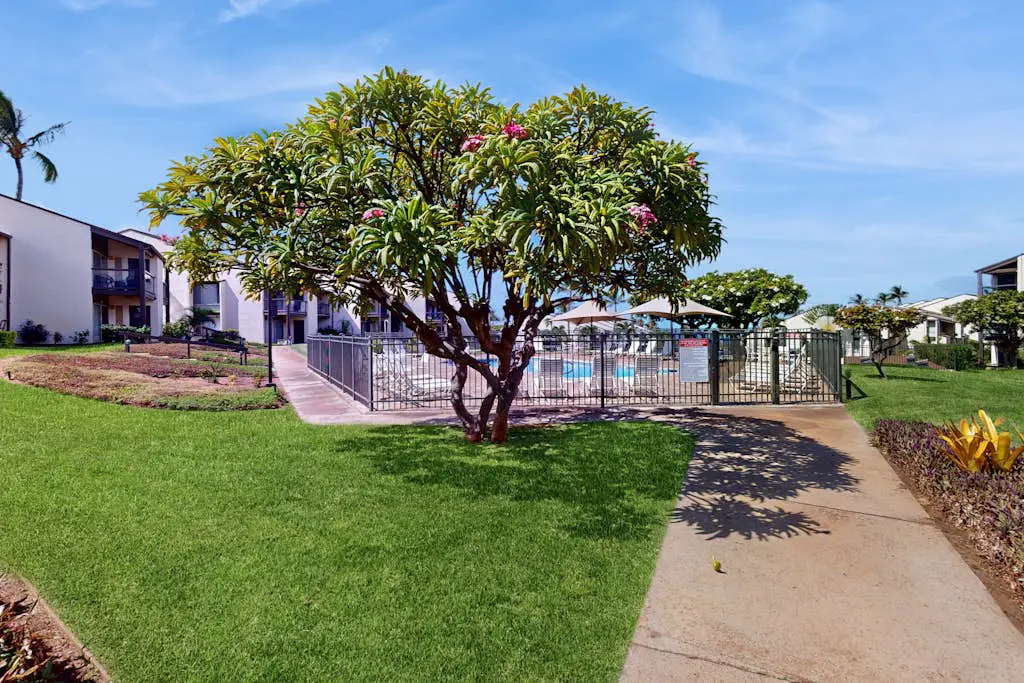 Hale Kamaole 234