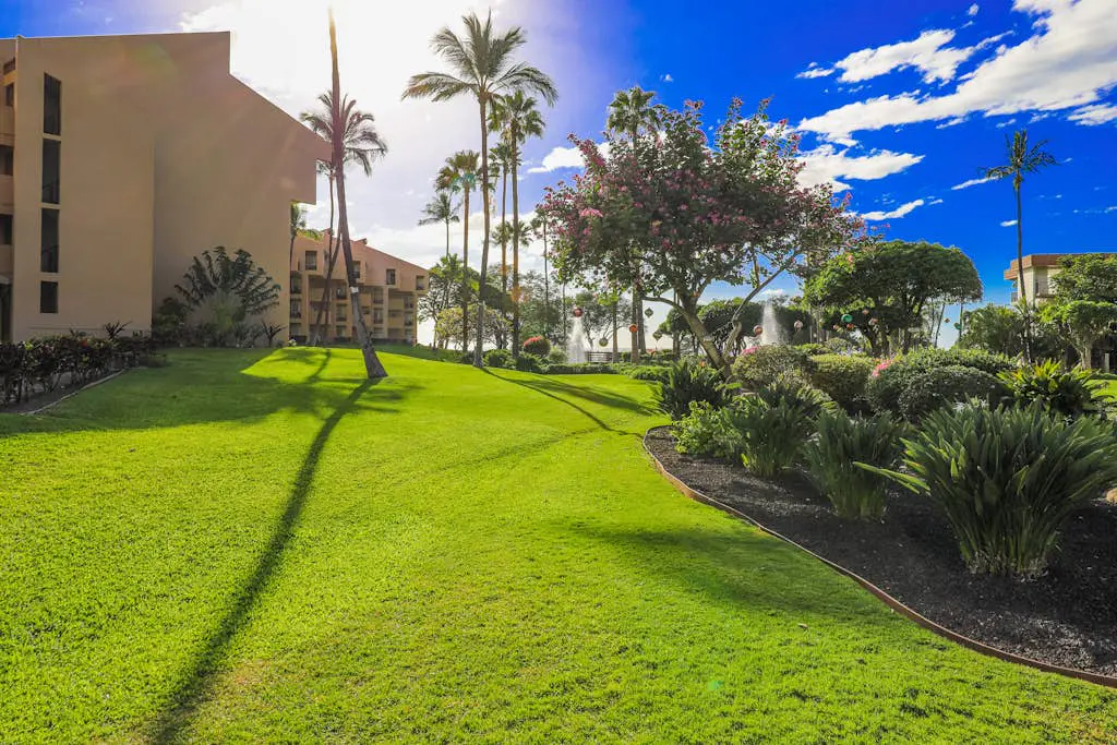 Kamaole Sands 10-302