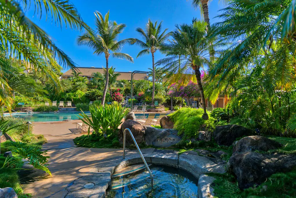 Maui Kamaole D111
