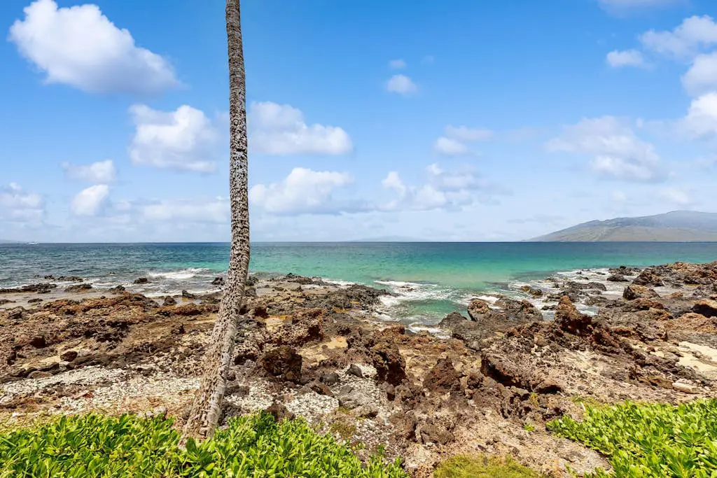 Mana Kai Maui Resort 202C