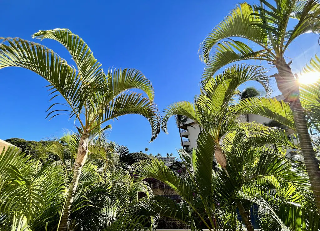 Sugar Beach Resort  424