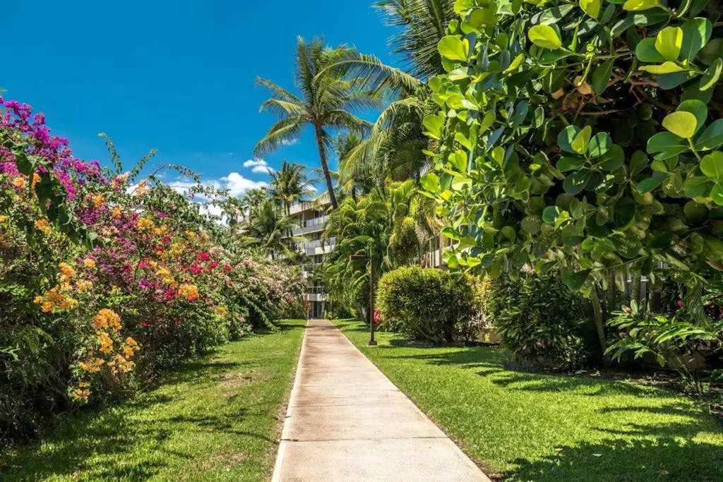 Sugar Beach Resort  424
