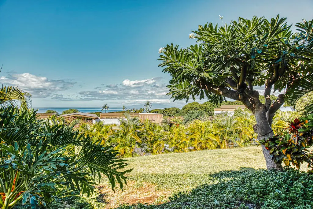 Wailea Ekolu Village 203