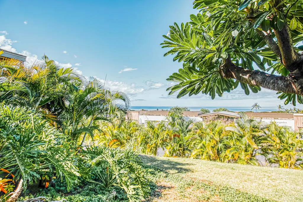Wailea Ekolu Village 203