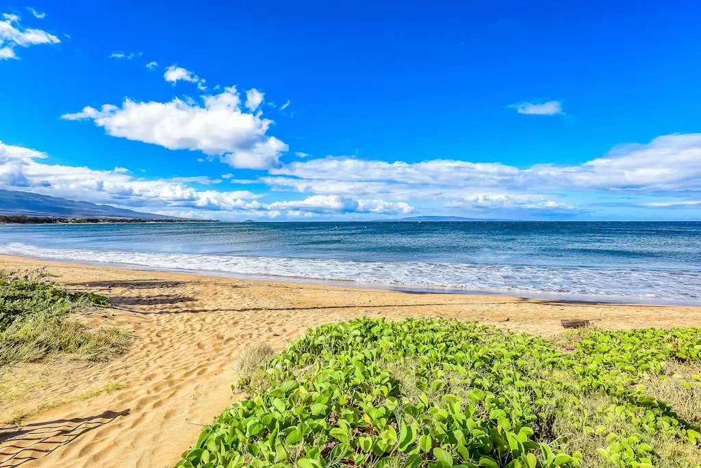 Sugar Beach Resort 325
