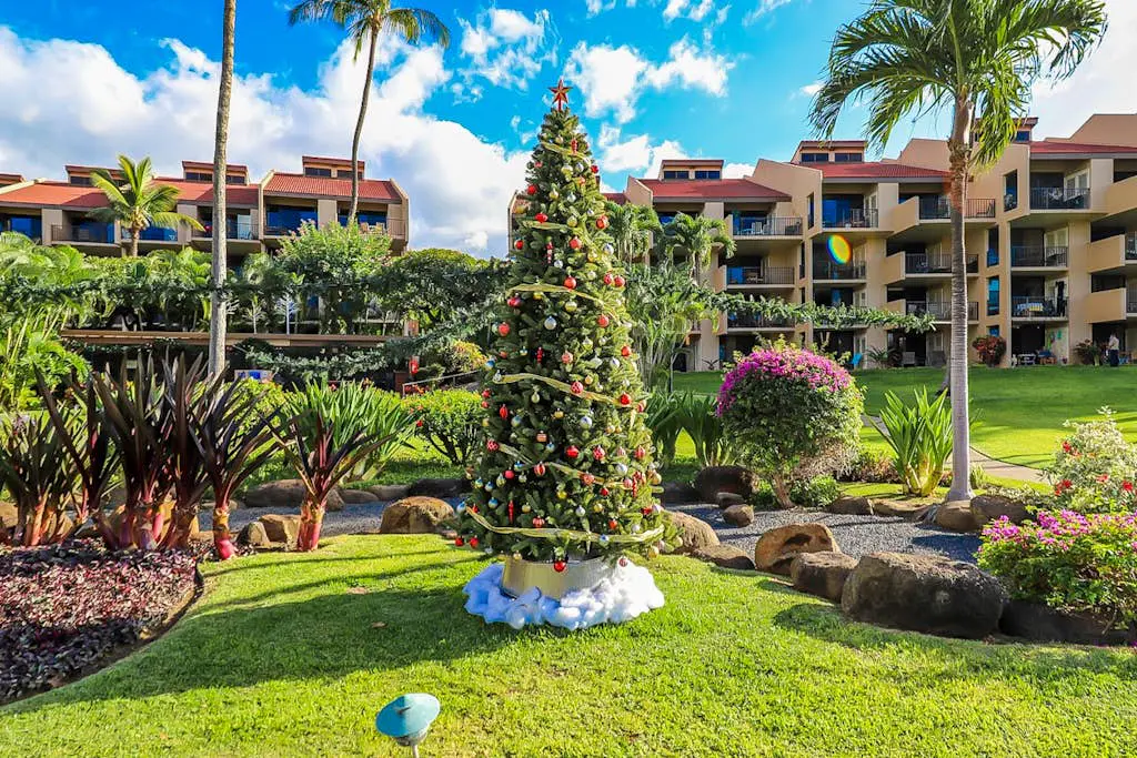 Kamaole Sands 8-205