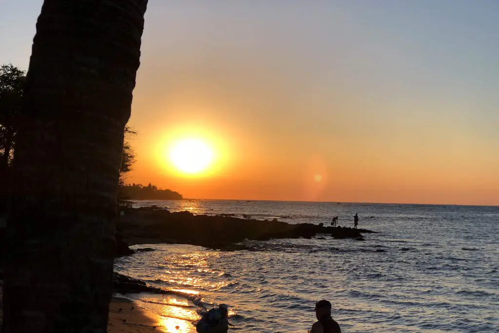 Kona Bali Kai #366