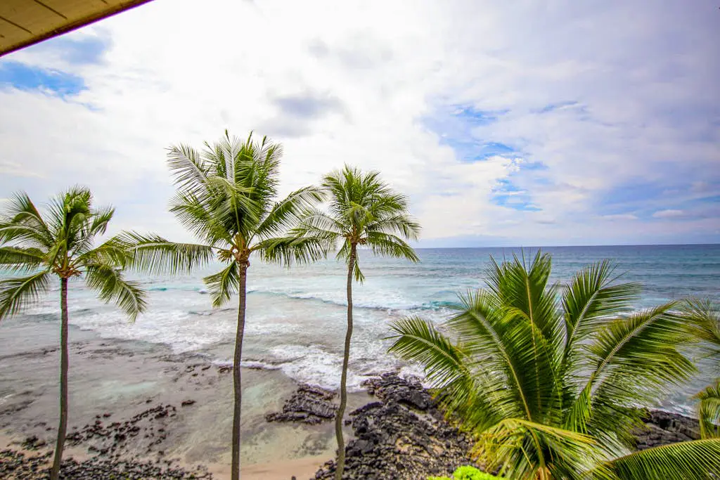 Kona Bali Kai #402