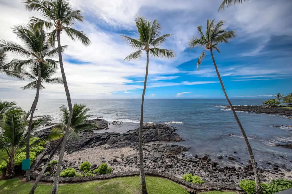 Kona Bali Kai #323