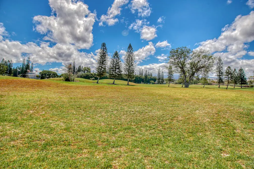 Waikoloa Fairways C119